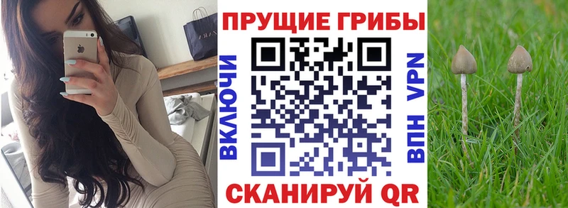 Галлюциногенные грибы Magic Shrooms  где можно купить наркотик  Ефремов 