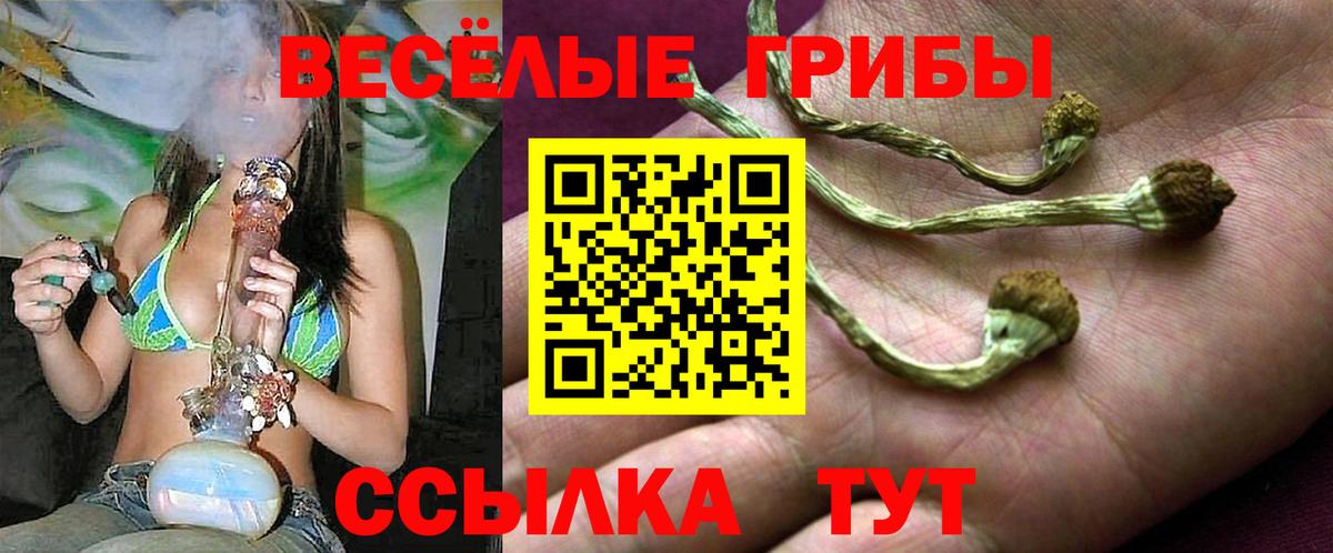 Галлюциногенные грибы ЛСД  Вход с VPN  Ефремов 