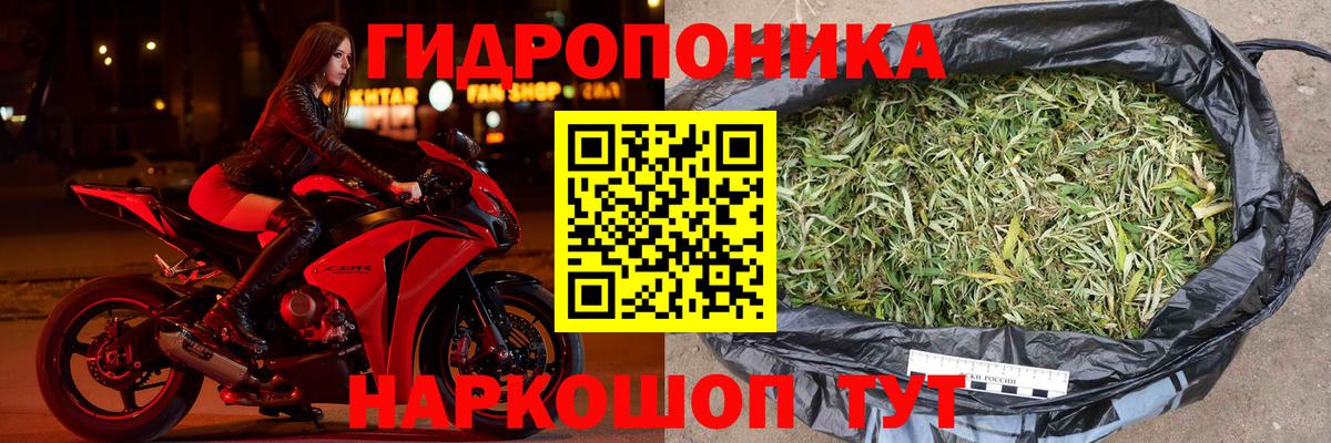 Бошки марихуана Amnesia Ефремов